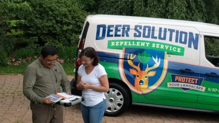 Deer Solution franchise
