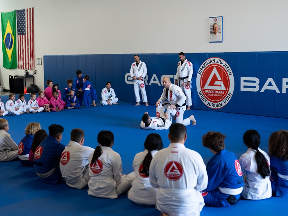 Gracie Barra franchise.