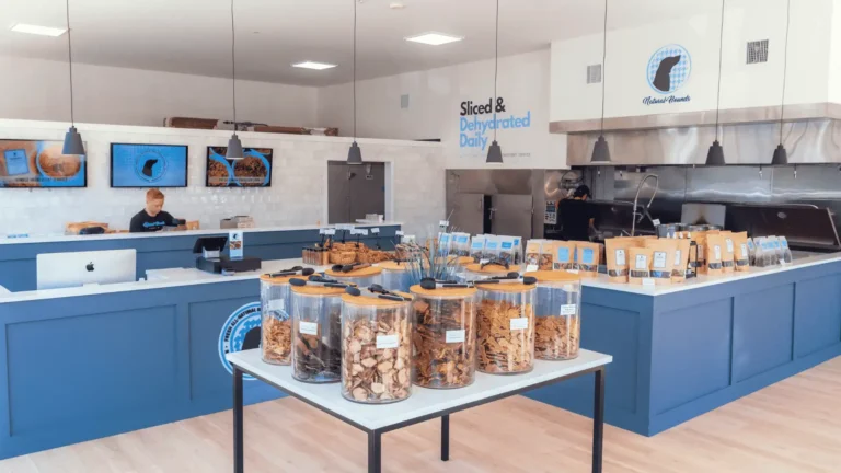 My Backyard Sports franchise