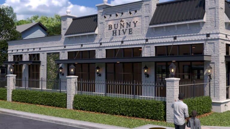 The Bunny Hive franchise